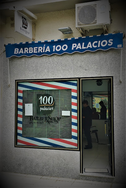 Peluqueria 100 palacios