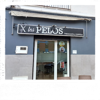 Peluquería y Estética POR LOS PELOS