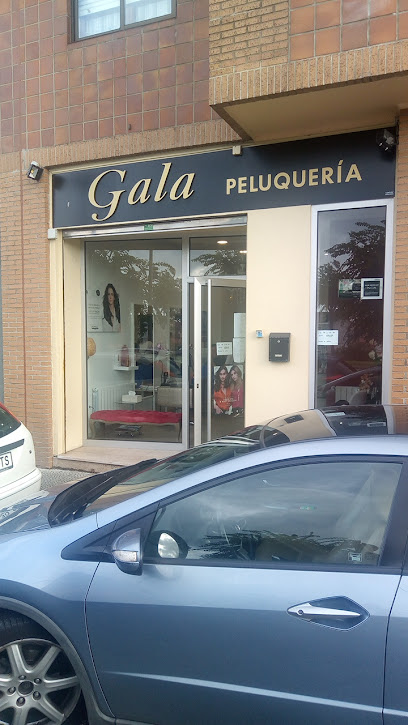 Gala Peluquería