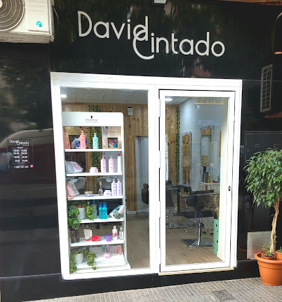 David Cìntado peluqueria