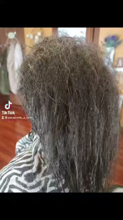 Peluquería Acero Extensiones