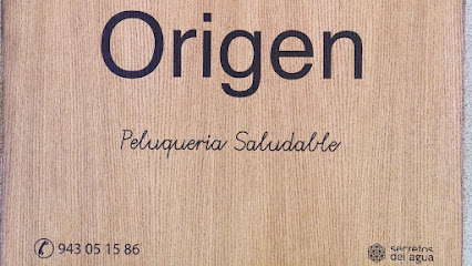 Origen Peluquería Saludable